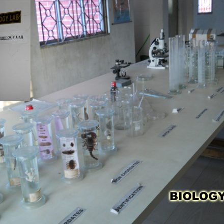 BIOLOGY LAB